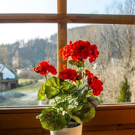 Domek alpejski Jaworowa Osada