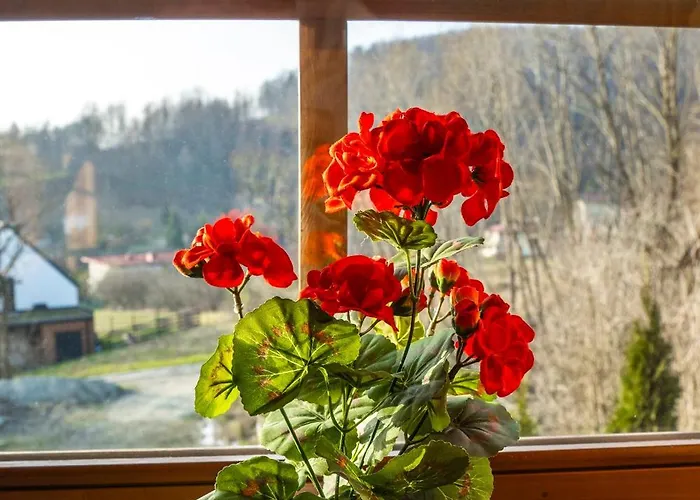 Шале Jaworowa Osada